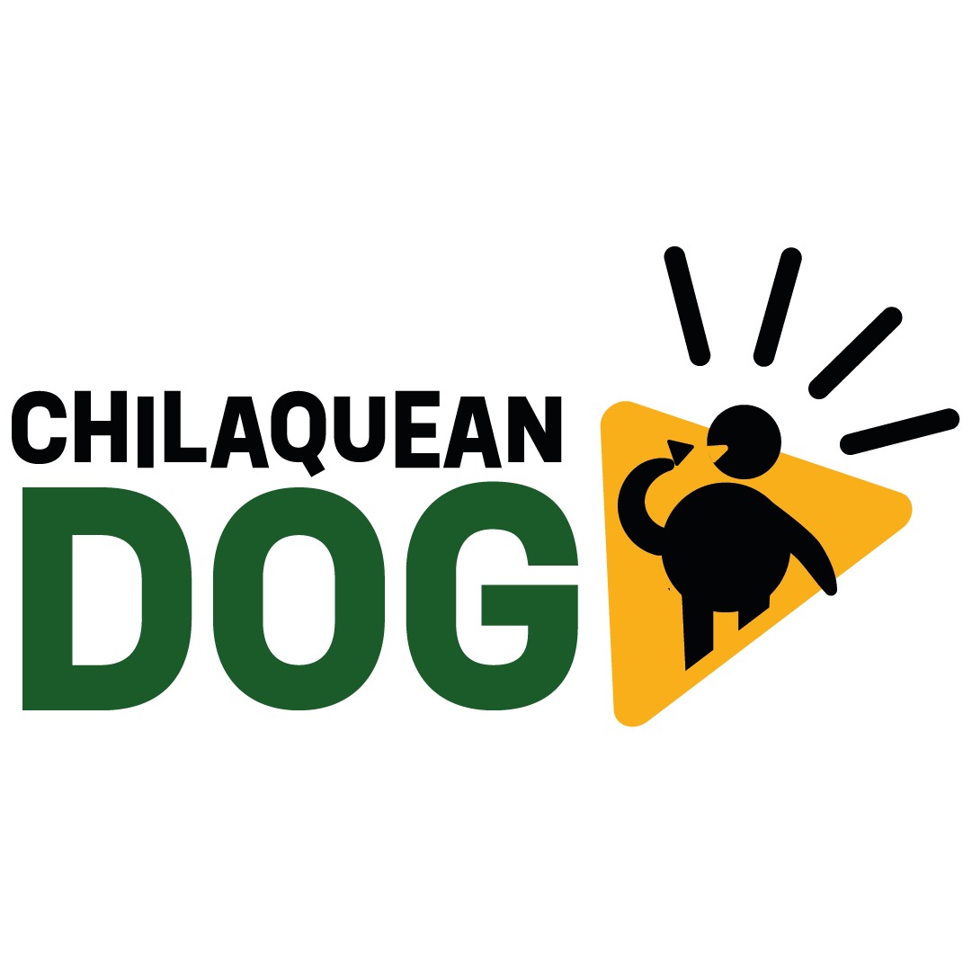 Chilaquean Dog